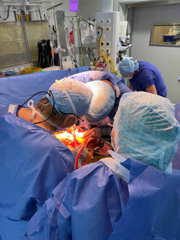 Dr. Ghibu - Operation Dr. Ghibu - Operation
