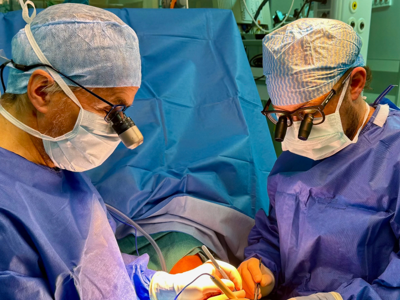 Dr. Ghibu - Operation Dr. Ghibu - Operation