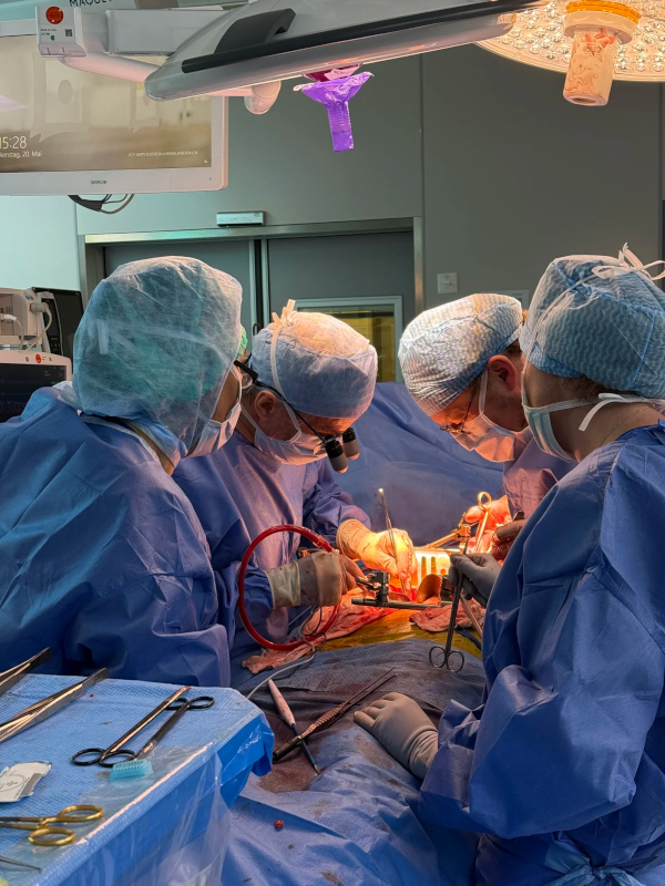Dr. Ghibu - Operation Dr. Ghibu - Operation