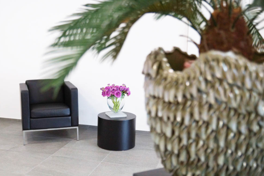 das augenzentrum - Waiting room das augenzentrum - Waiting room