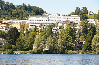 Nierensteine – Kleine Steine, große Schmerzen